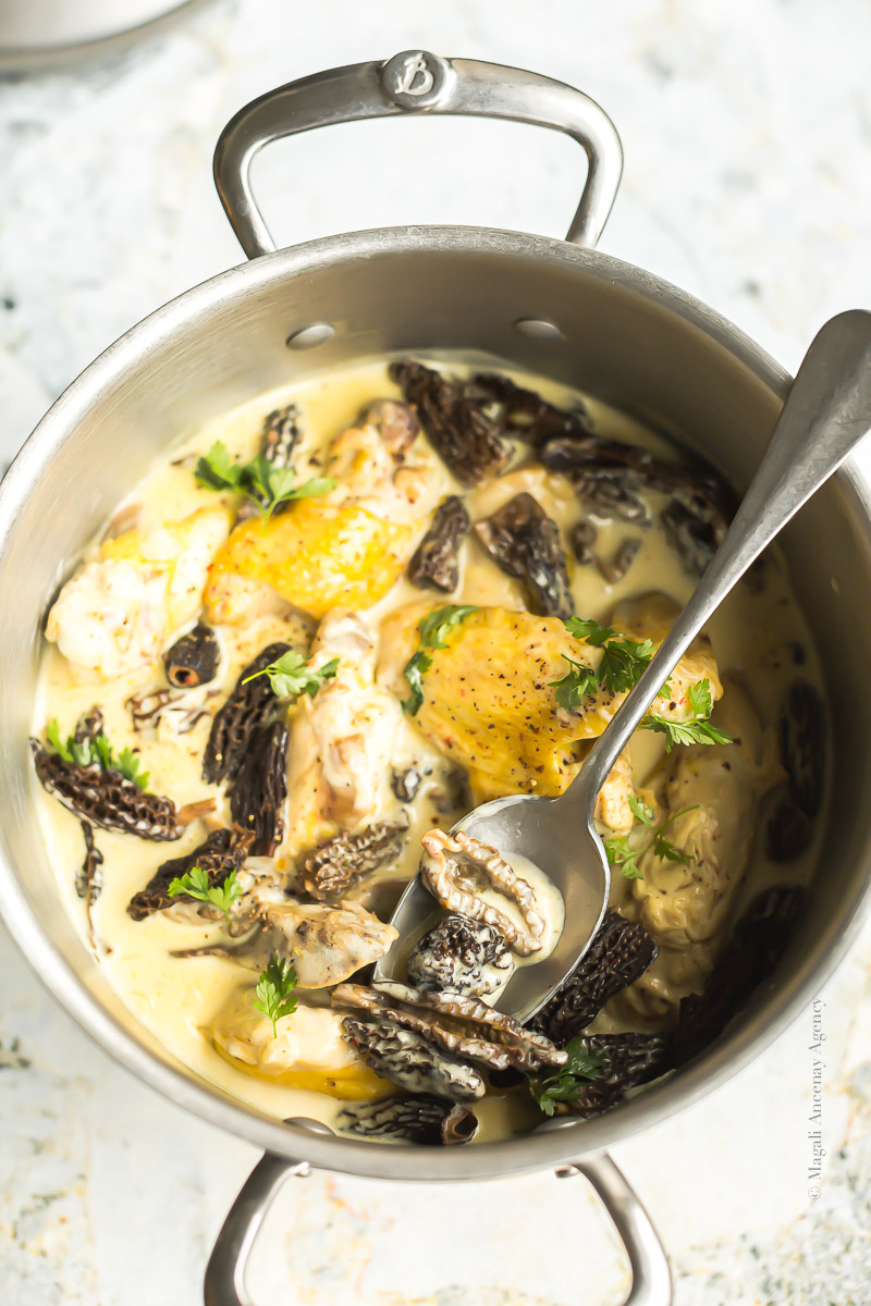 Poulet Au Vin Jaune Et Morilles Paul Bocuse - Quatre Saisons Au Jardin